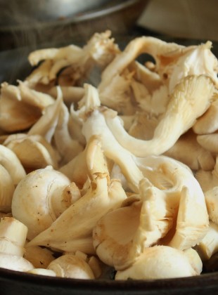 Mushroom 500g